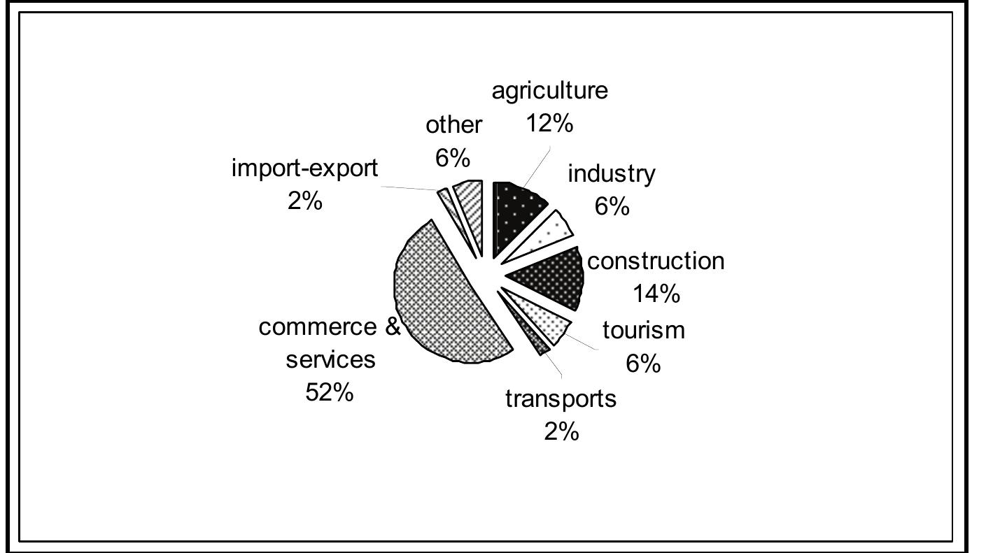 Fig. 7: Typology of investment in Albania by the Vloré sample  Source: elaboration on our survey data (year 2007) 