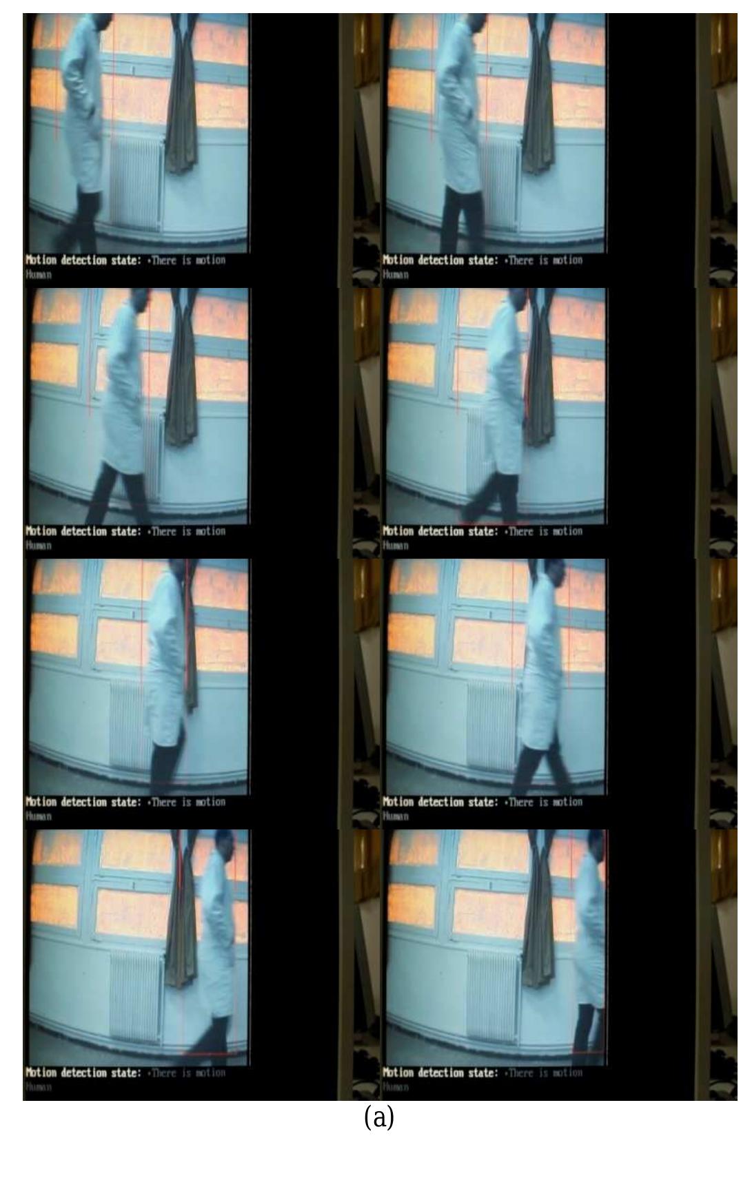 A Real Time Implementation on FPGA of Moving Objects Detection and ...