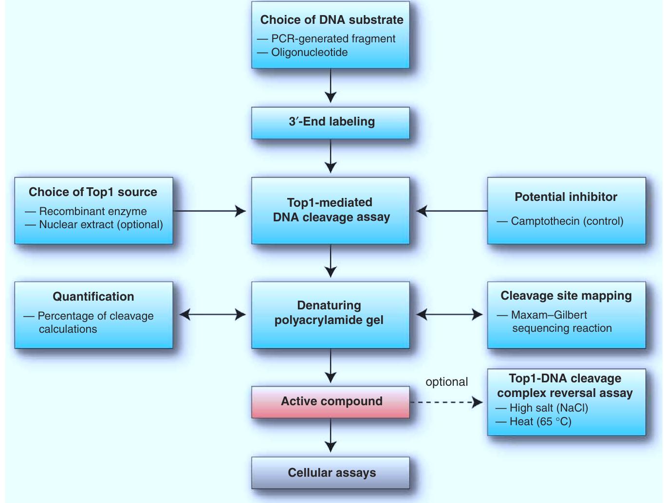 | flow diagram to illustrate the major steps of the