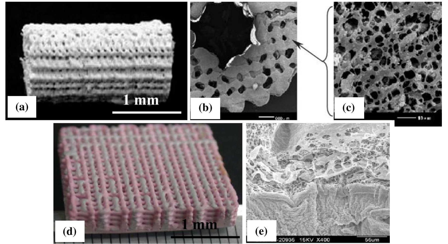 Sem images of a pcl scaffold fabricated via ped; b low