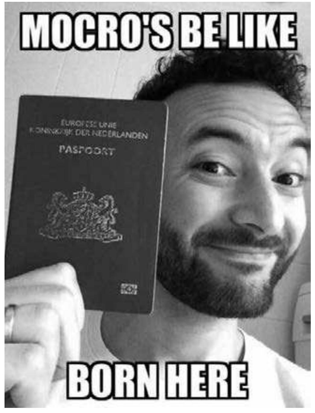 Fig. 1: “Mocro’s be like. Born Here,” tweet @Nasrdin_Dchar (March 17, 2014)  Introduction 