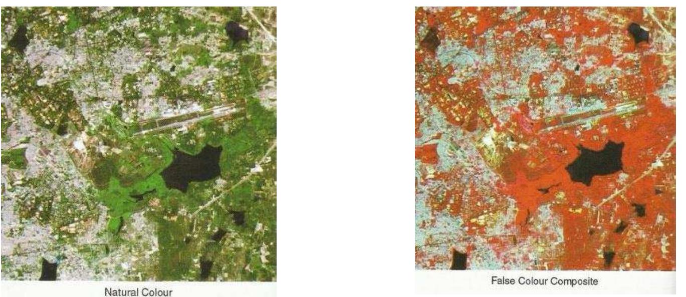 Noticable Color (PDF) COLOURS: A SCIENTIFIC APPROACH