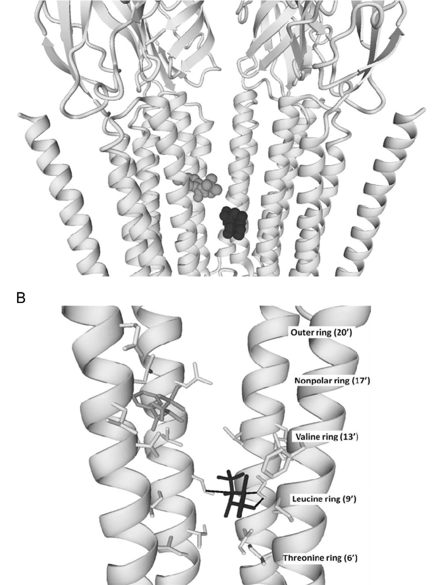 (PDF) Molecular and cellular pharmacology