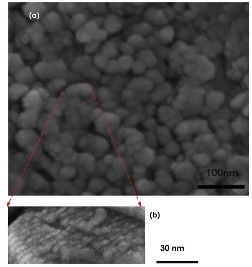 (a) typical high resolution scanning electron microscopy of