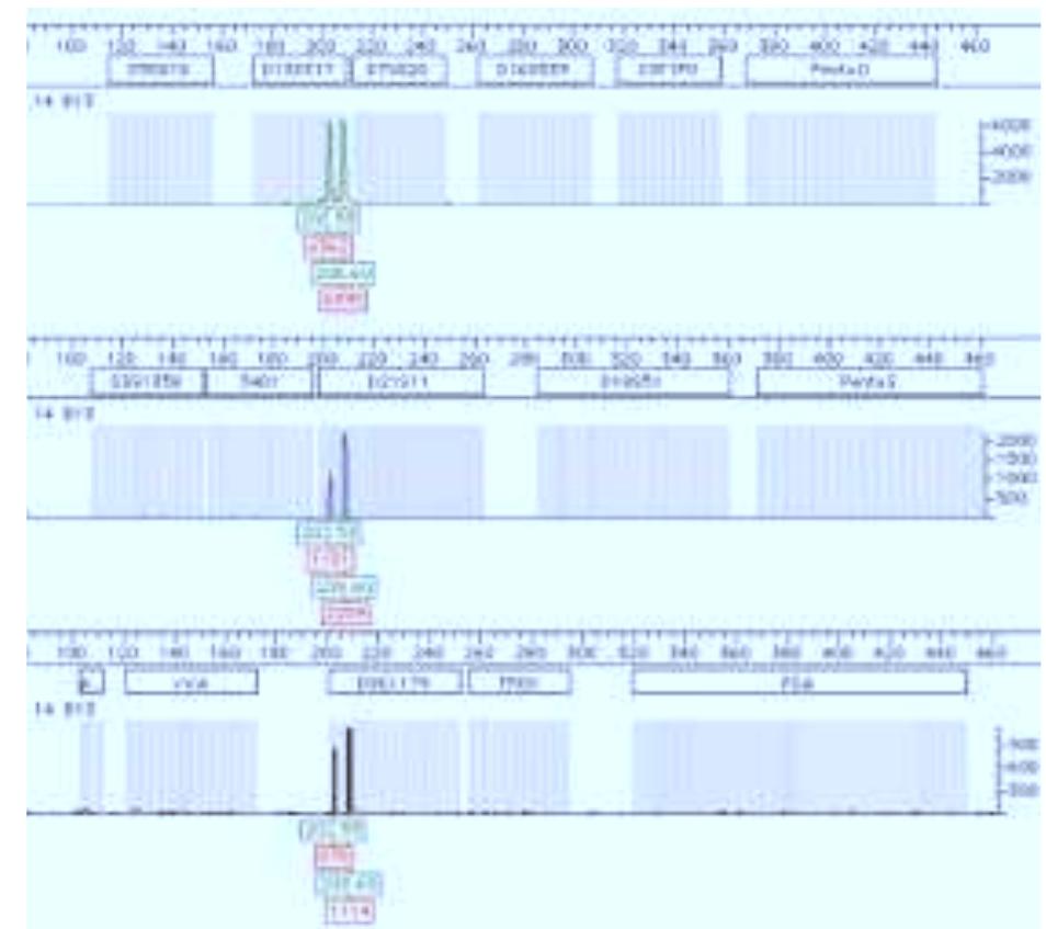 The 202 and 208 green products (shown in the upper row of