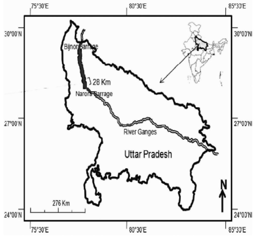 Narora Map (PDF) Floral-faunal mutualism and its role in sustenance of the Upper ...