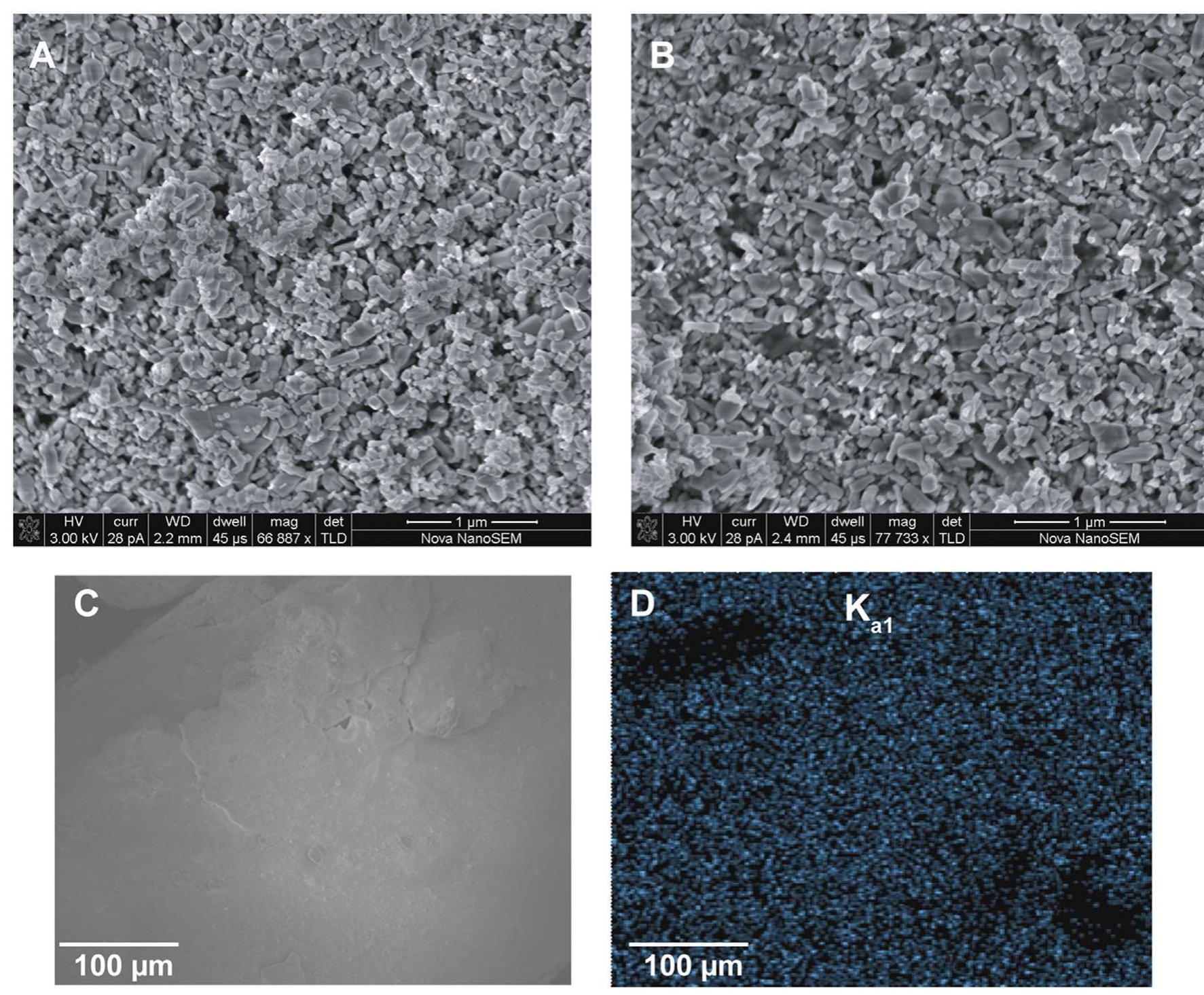 Scanning electron microscope images of 0.01 mmol zno-odpa