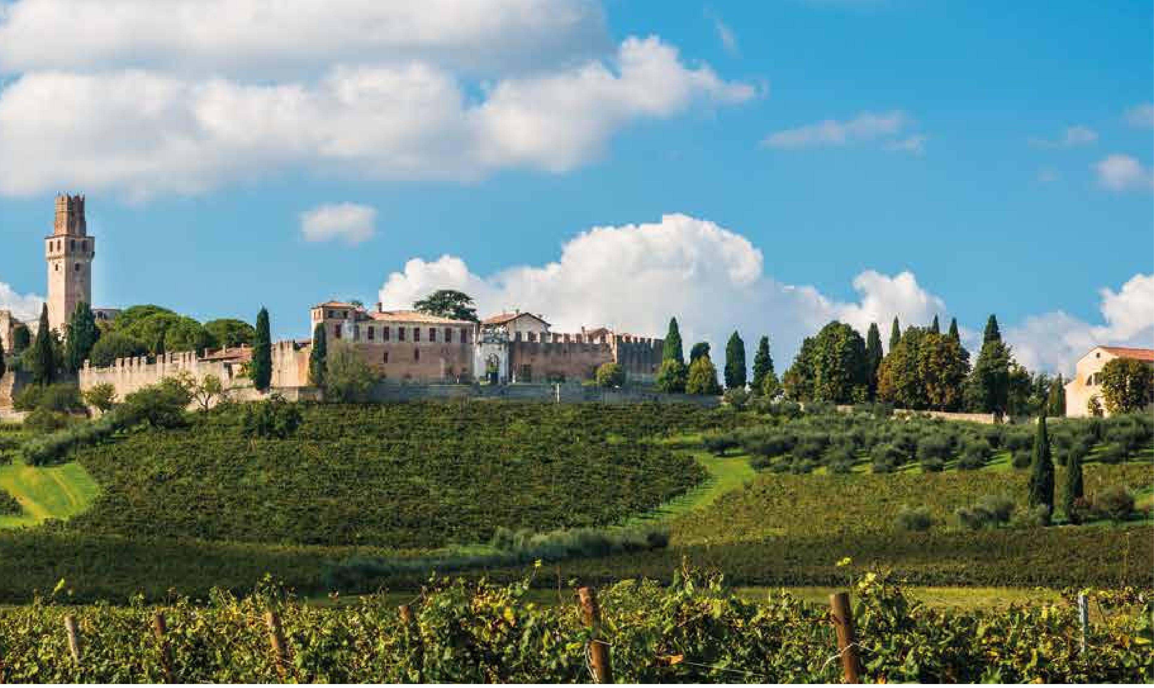 𝙎𝙏. 𝙁𝙍𝘼𝙉𝘾𝙄𝙎 𝙊𝙁 𝘼𝙎𝙎𝙄𝙎𝙄: 𝙏𝙃𝙀 𝙃𝙊𝙇𝙔 𝙁𝙊𝙐𝙉𝘿𝙀𝙍  𝙒𝙃𝙊 𝙄𝙉𝙎𝙋𝙄𝙍𝙀𝘿 𝙏𝙃𝙀 𝙃𝙊𝙇𝙔 𝙁𝘼𝙏𝙃𝙀𝙍 Today, we are  celebrating the memorial of the founder of the Franciscan Order—none other  than St. Francis of Assisi. Did, image size:3794x2261