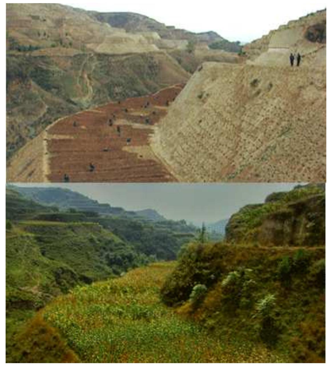 a a  Before and After images of the ‘Loess Plateau Watershed rehabilitation Project’. This project was meant to reach a few goals most prominently:  1. Get the 50 million people who live there out of poverty.  2. Rehabilitate and secure the local ecosystem  3. Guiding the people to a more sustainable lifestyle.  John D. Liu: As a journalist, I first covered the rise of China from poverty and isolation and I later covered the Soviet Union. In that period I spent a lot of with the leaders of China, Europe and the presidents of the United States, filming them, I got to observe them and I decided that geopolitical events were somehow more like an illusion. In 1995 I was asked by the World Bank® to film the baseline study for "The Loess Plateau Watershed Rehabilitation Project'®. When I got there I saw geologic time, evolutionary time and all of human history revealed. The geopolitical events didn't seem very important, no one will know who the leaders were in a 1000 years, it's irrelevant. But for anyone who will live in the future the quality of their life on the Earth will be determined by our understanding of ecological function. This was a revelation to me, and I began to seriously study this and I have not stopped since. 