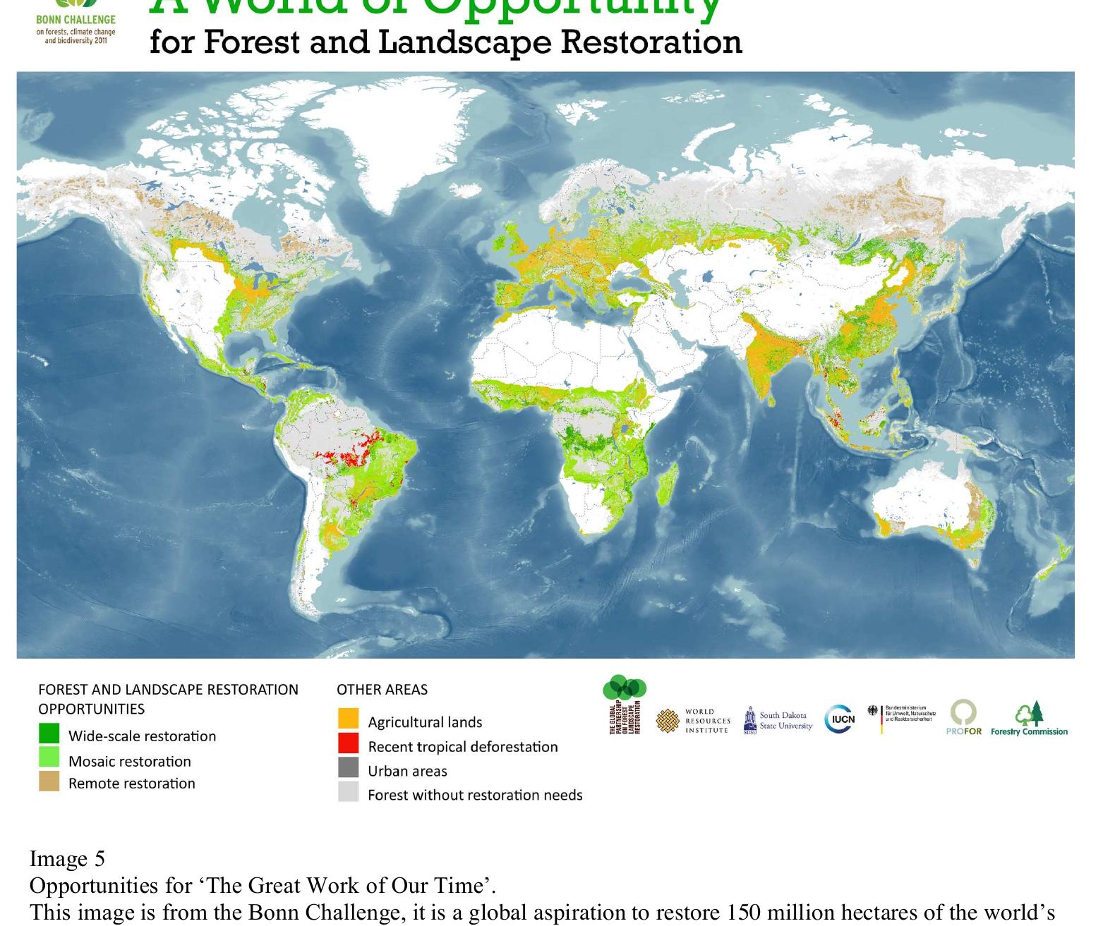 We have got to get this right, if we don't get this right in our lifetime, we won't be fulfilled, our lives will not be meaningful, we will not understand our purpose and our place.  Thijs Flore: What would be our place? In the global rehabilitation of ecosystems one can understand this as subjugating the planet to our will. How do you see this? 