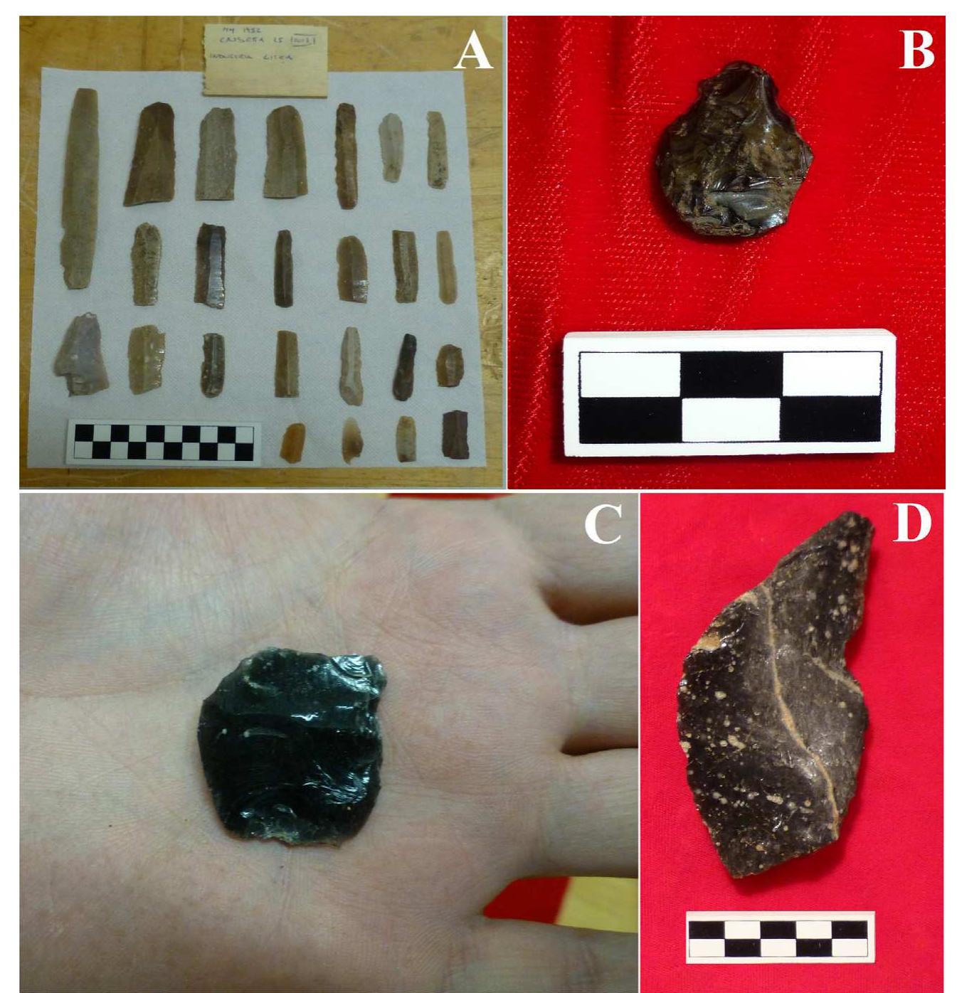 Fig. 6. (Color online.) A.Examples of pressure-flaked flint blades from Megara Hyblaea. B.Retouched perforator from Calaforno. C. Piéce esquillée from Megara Hyblaea. D. Notched piece from Rinicedda.  Fig. 6. (Couleur en ligne.) A.Exemples de lames de silex 4 éclats obtenus par pression, en provenance de Megara Hyblaea. B.Perforateur retouché en provenance de Calaformo. C. Piéce esquillée en provenance de Megara Hyblaea. D. Fragment entaillé en provenance de Rinicedda. 