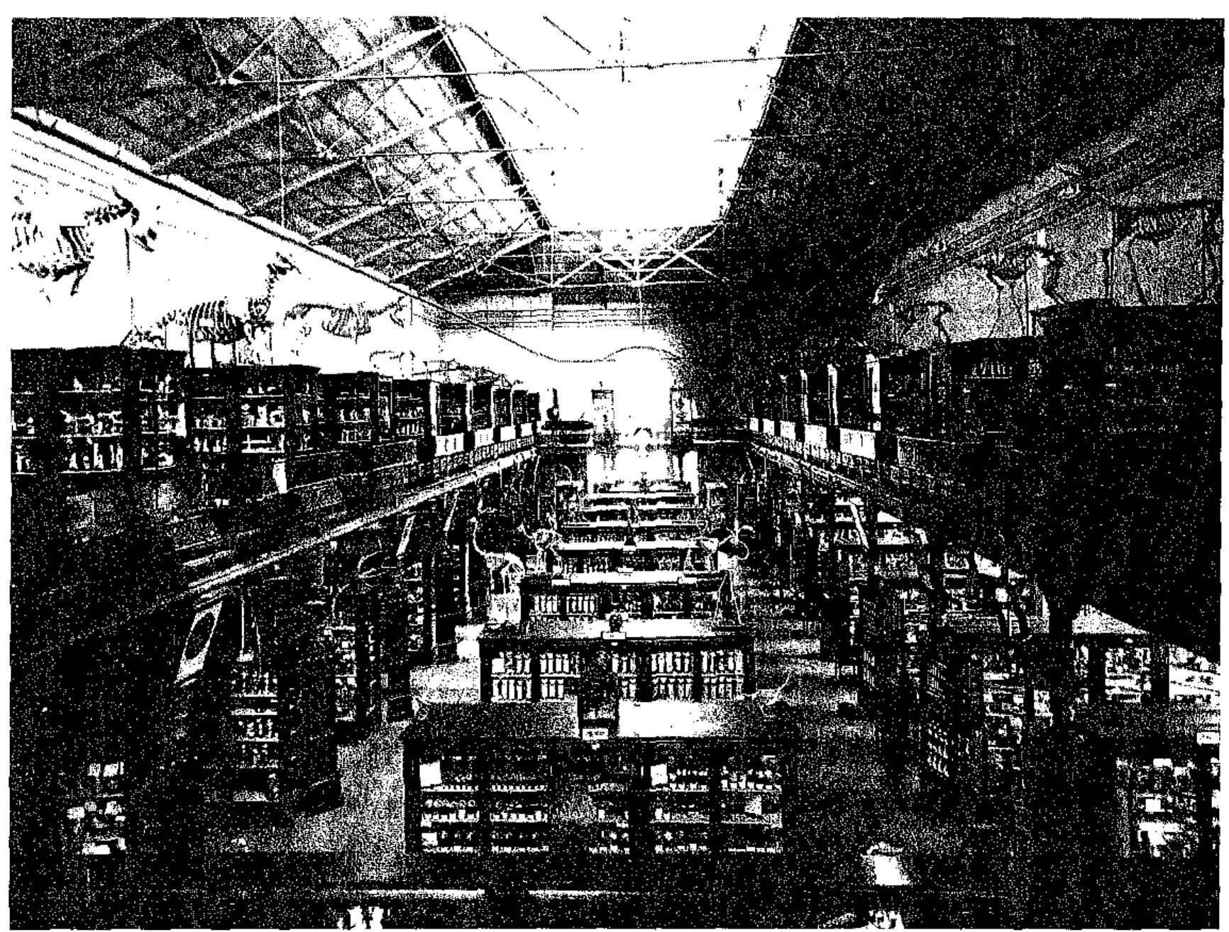 The exhibit space and gallery, filled with specimens.  direction by collecting and exhibiting the mate- rial culture of medicine. Billings focused on human anatomy and embryology, pathology, numismatics, ethnography and physical anthro- pology, comparative anatomy, specimen preparation, and the development of the micro- scope. At the same time he illustrated the work of the Army Medical Department. Towards the end of his tenure, he collected medical instruments and military artifacts, including equipment and supplies, especially those of foreign armies. These new collections were an attempt to build a national medical museum with a broad encyclo- pedic reach.*? Museum staff, especially Dr. William Gray, provided pathological diagnoses for Army physicians—setting the stage for the even- tual transformation of the Army Medical Museum into the Army Institute of Pathology and later, the Armed Forces Institute of Pathology.  sonian enabled the organizations to work even more closely together. The new space also enabled Billings to aggressively expand the collections. In addition to illustrating “the effects, both immedi- ate and remote, of wounds and of the disease that prevailed in the Army,” he looked specifically to obtain “specimens to illustrate the methods of work of the best anatomists, physiologists and pathologists of Europe.”2° He had the surgeon general issue to Army doctors an extensive wish list with 24 categories including “abnormities [sic]” and “deformities,”*! Billings developed the museum’s comparative and human anatomy col- lections along with its anthropological ones, but also moved the museum in a more “historical” 