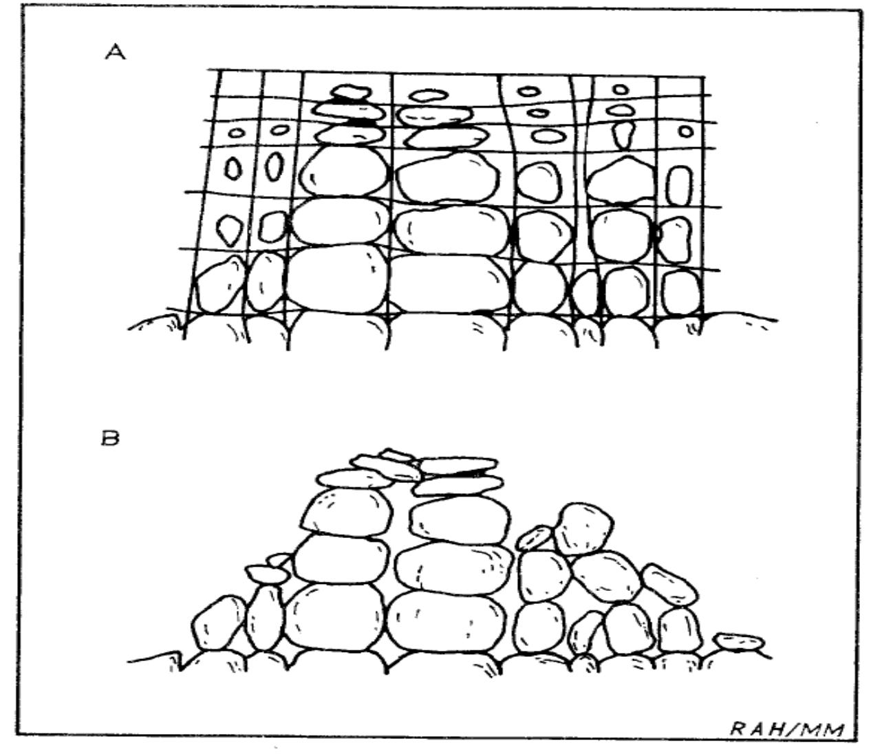 Figure 3 - from Theories on inselberg formation: Can their