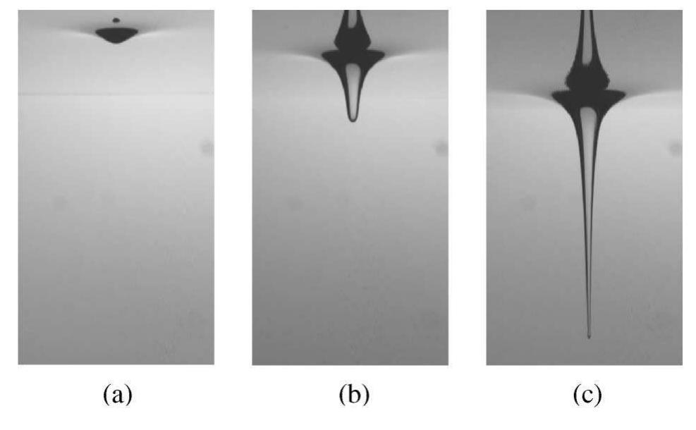 (PDF) Anatomy of a Bathtub Vortex