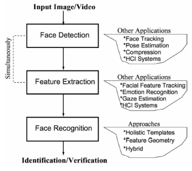 (PDF) AUTOMATED FACE DETECTION AND FEATURE EXTRACTION USING COLOR FERET ...