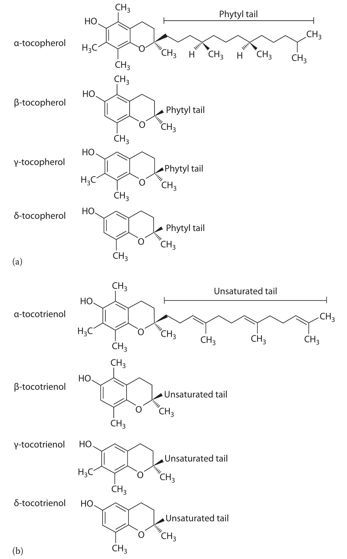 Figure 1 - from Safety of Unsaturated Vitamin E Tocotrienols