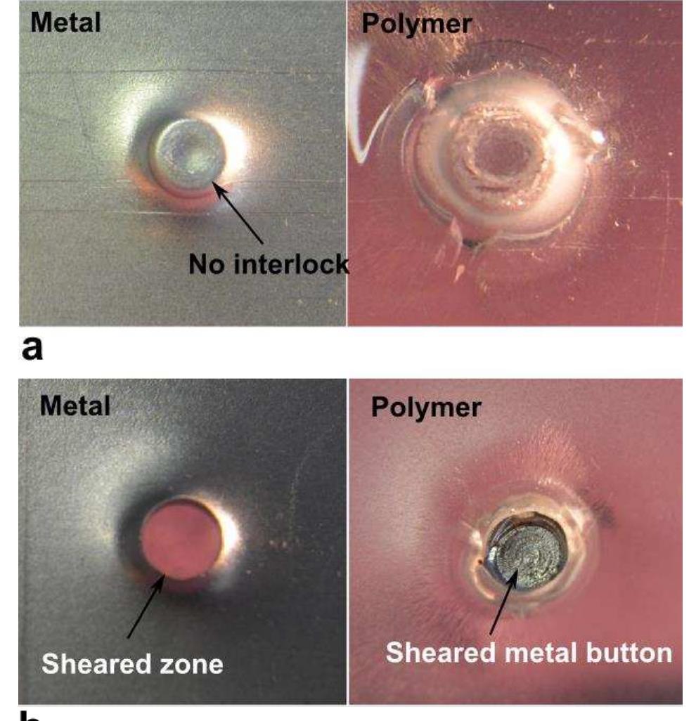 Part Lead Clinking (PDF) Mechanical clinching of metal-polymer joints