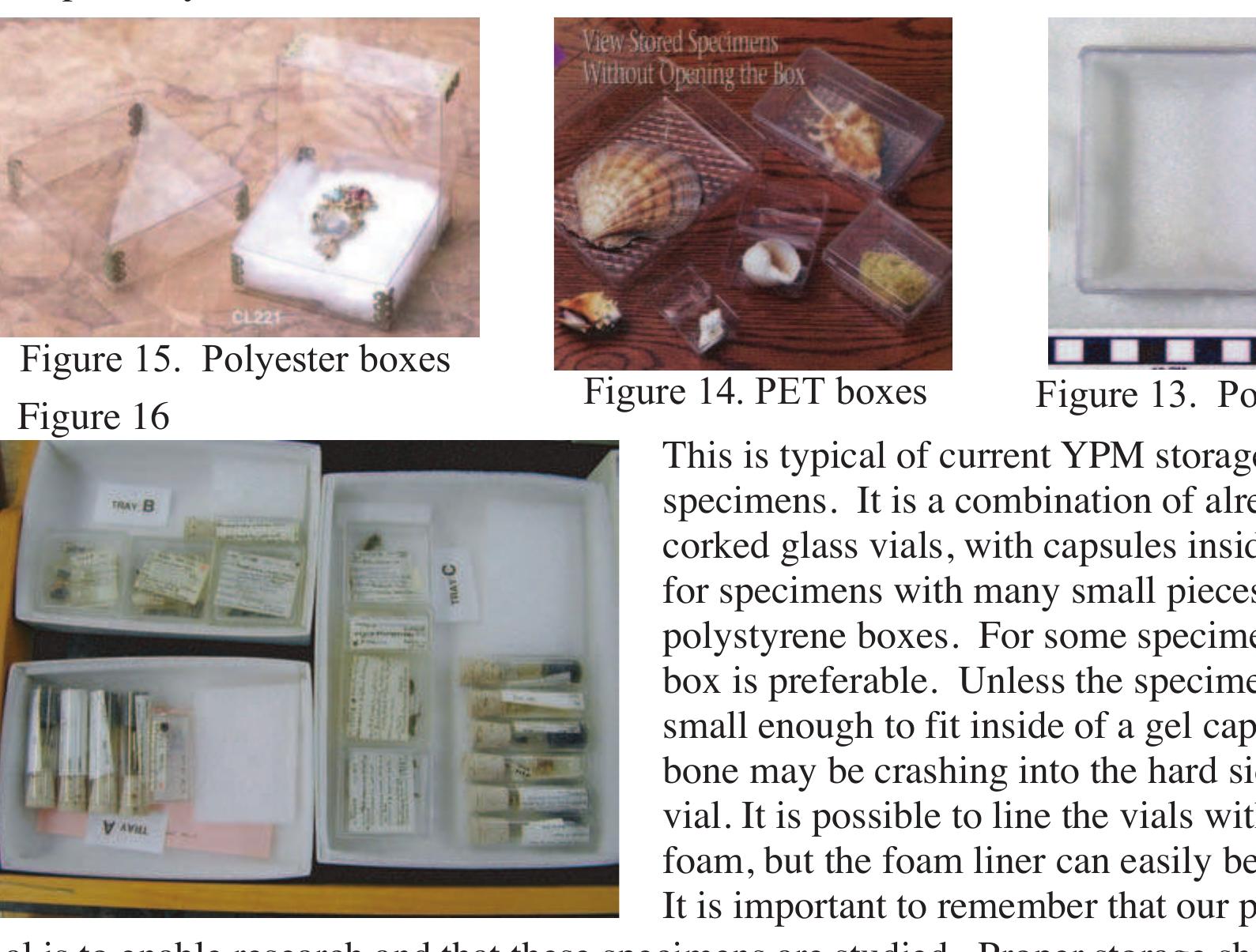 (PDF) A Review of Vertebrate Fossil Support (and storage) Systems at ...