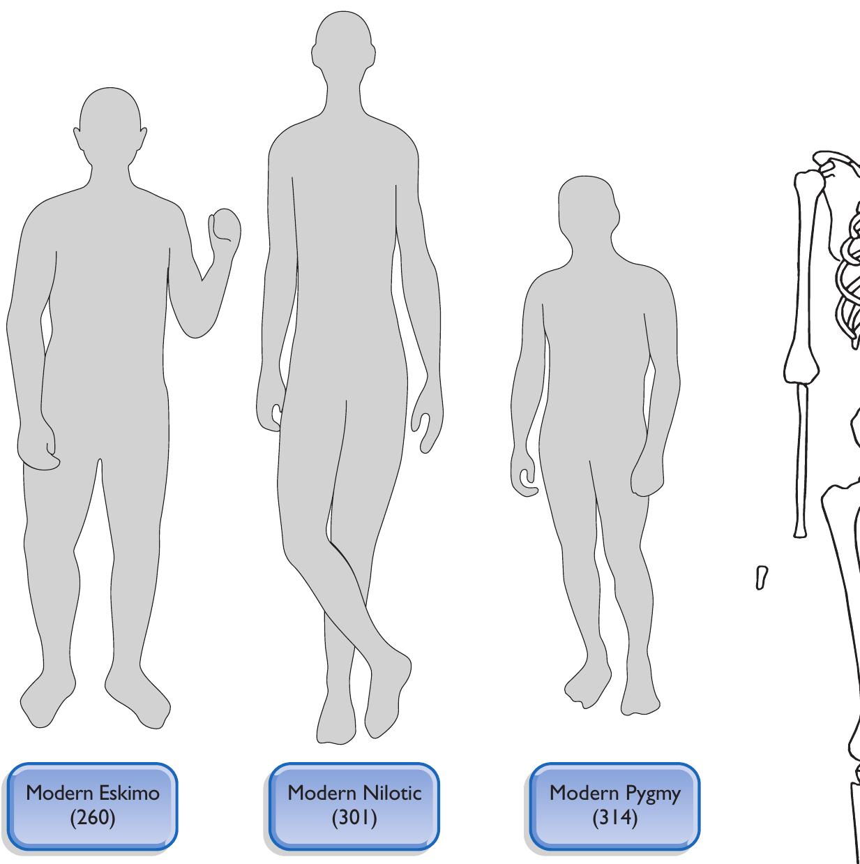 Figure 1 - from 