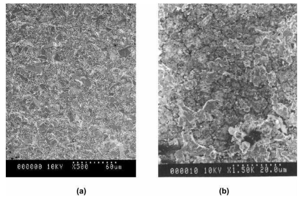 Sem micrographs of a ~ 60-m thick type-a coating (sample