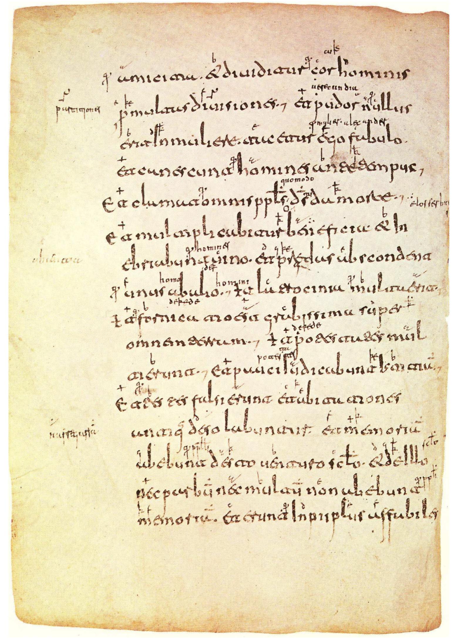 Emendation Example (PDF) The emendation of a manuscript: the purpose of the Glosas ...