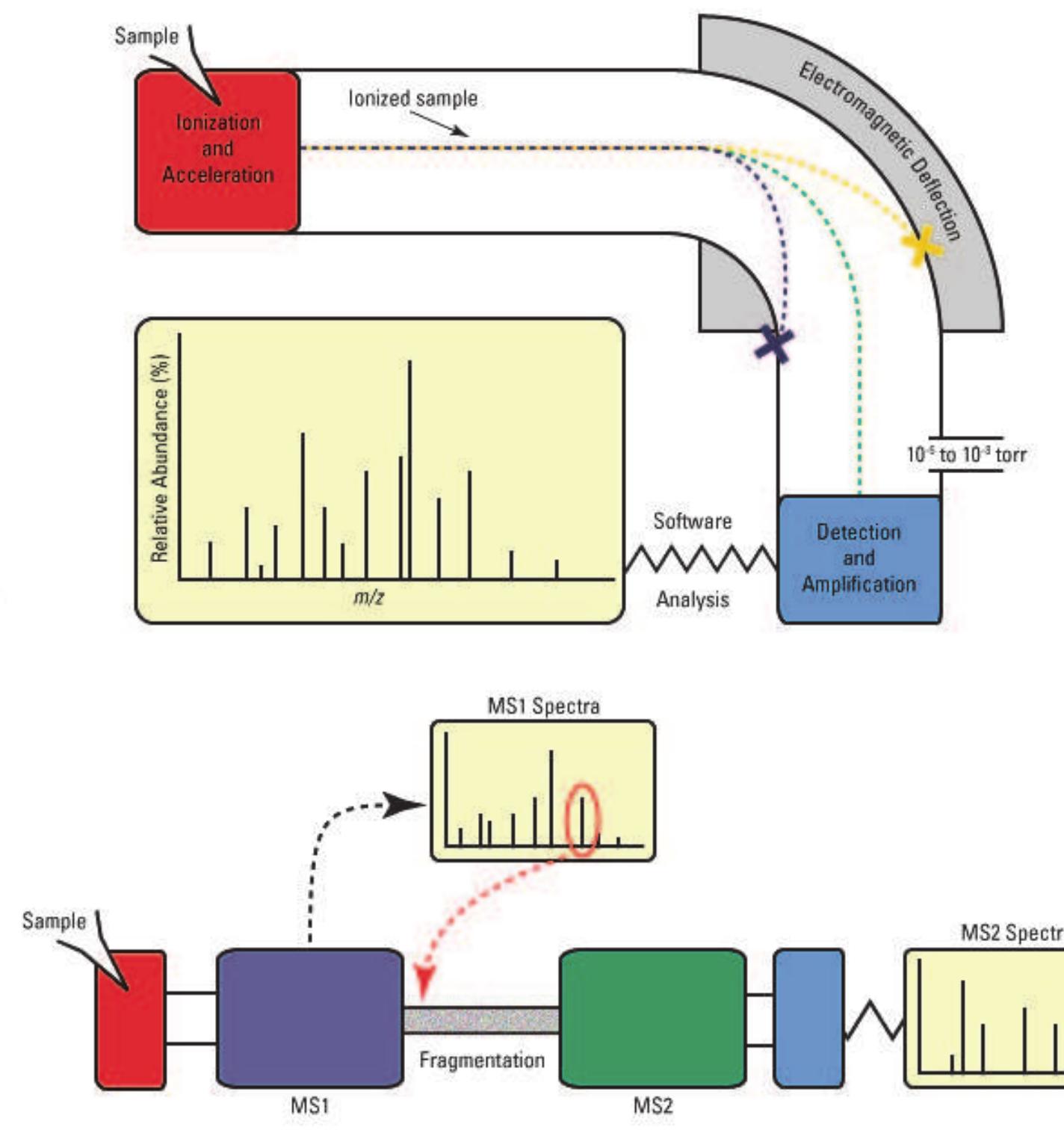 The principle of a. a mass spectrometer and b. tandem mass