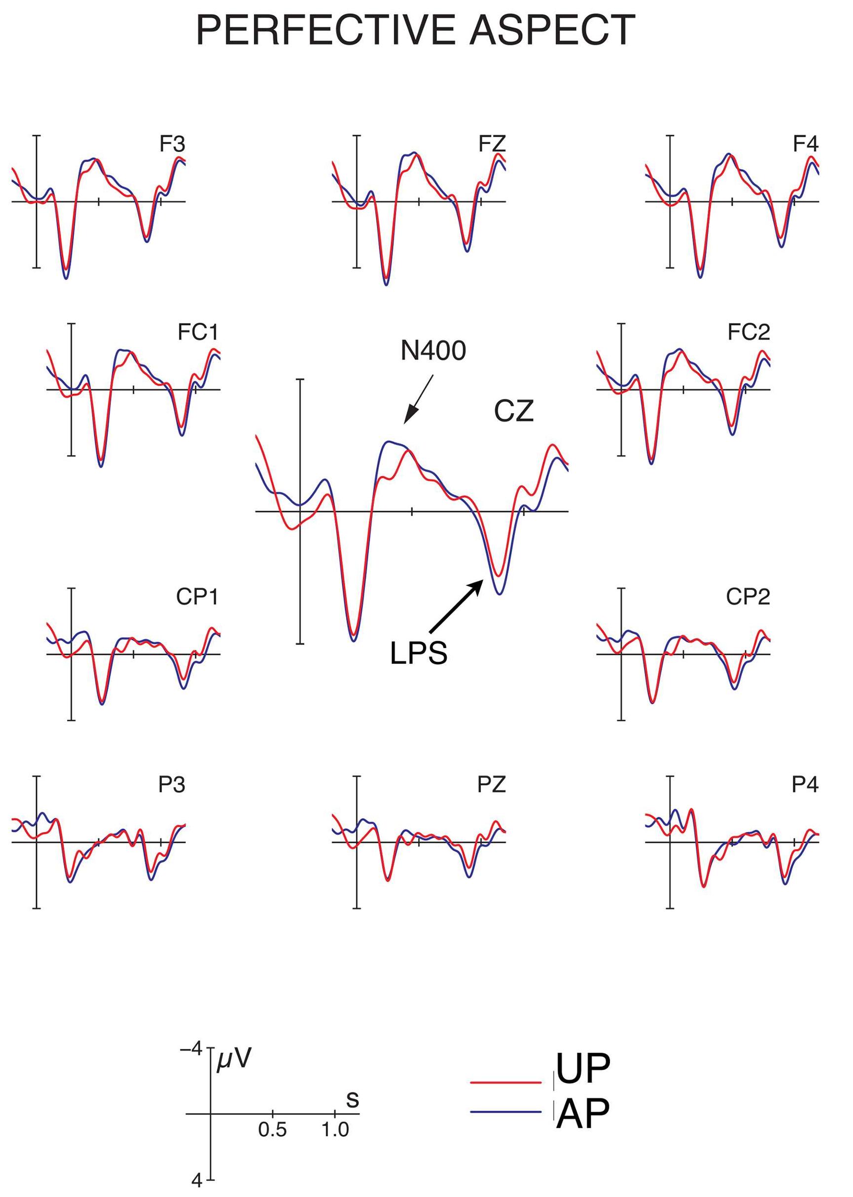 Fig 4. Event-related potentials (ERPs) at the position of the disambiguating verb in the perfective conditions in Hindi. The figure shows grand average ERPs following a locally ambiguous (blue trace) or unambiguous (red trace) P argument at 11 selected electrodes. See Table 1 for examples. Disambiguation of an initial base-form (ambiguous) NP towards a P argument engenders an N400—late positivity (LPS) response, consistent with the S/A preference. Note: Negativity is plotted upwards. 