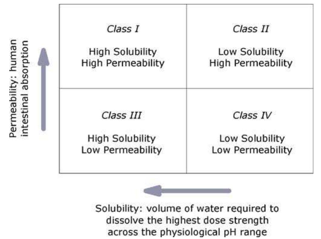 Figure 1 - from Prediction of Solubility and Permeability