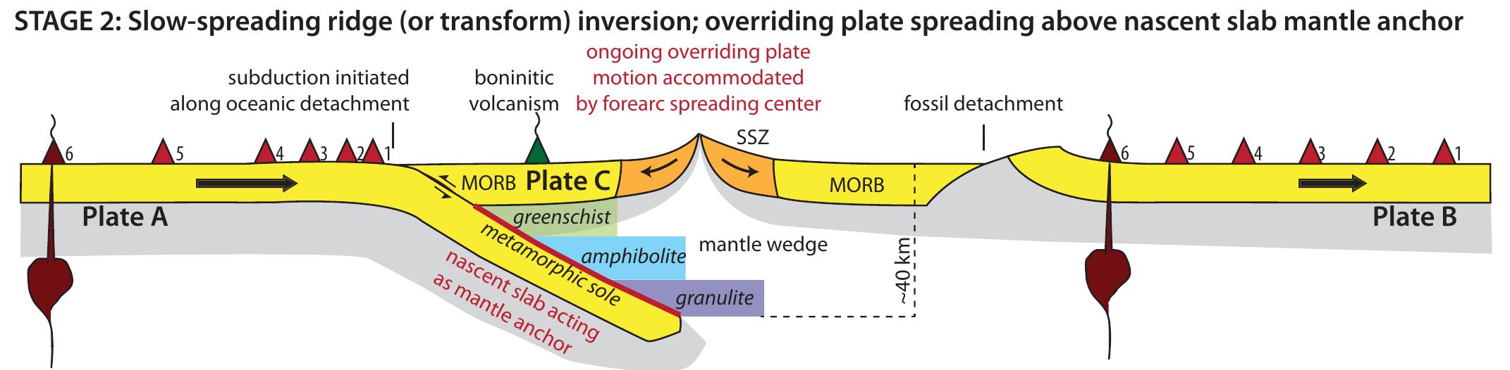 Figure 5 - from Dynamics of intraoceanic subduction