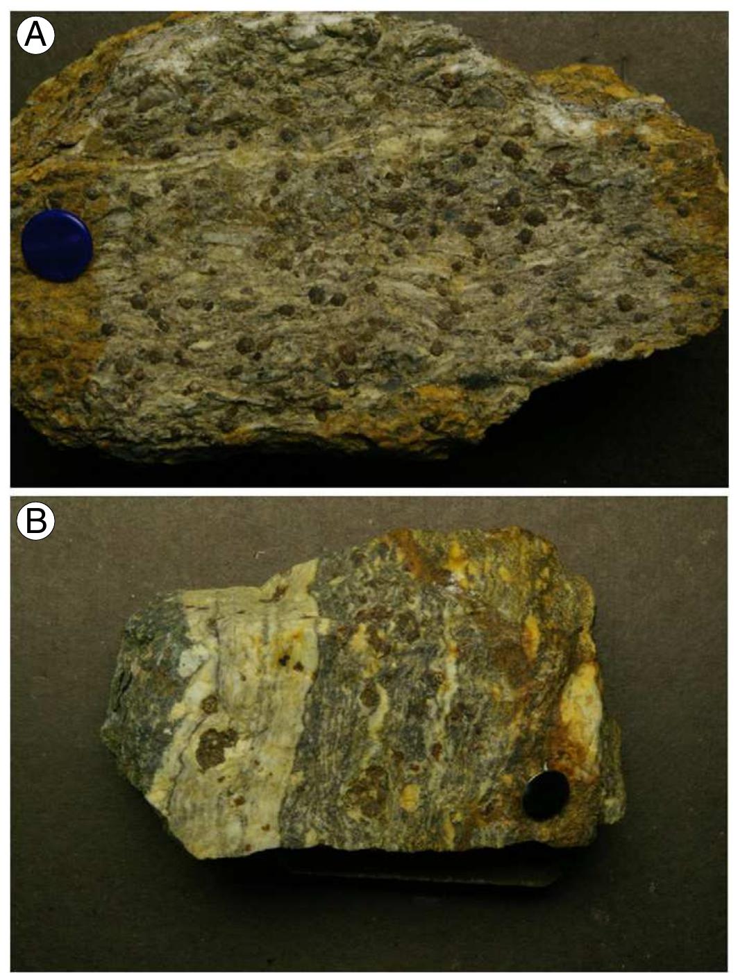 Figure 4 - from High-pressure anatectic paragneisses from