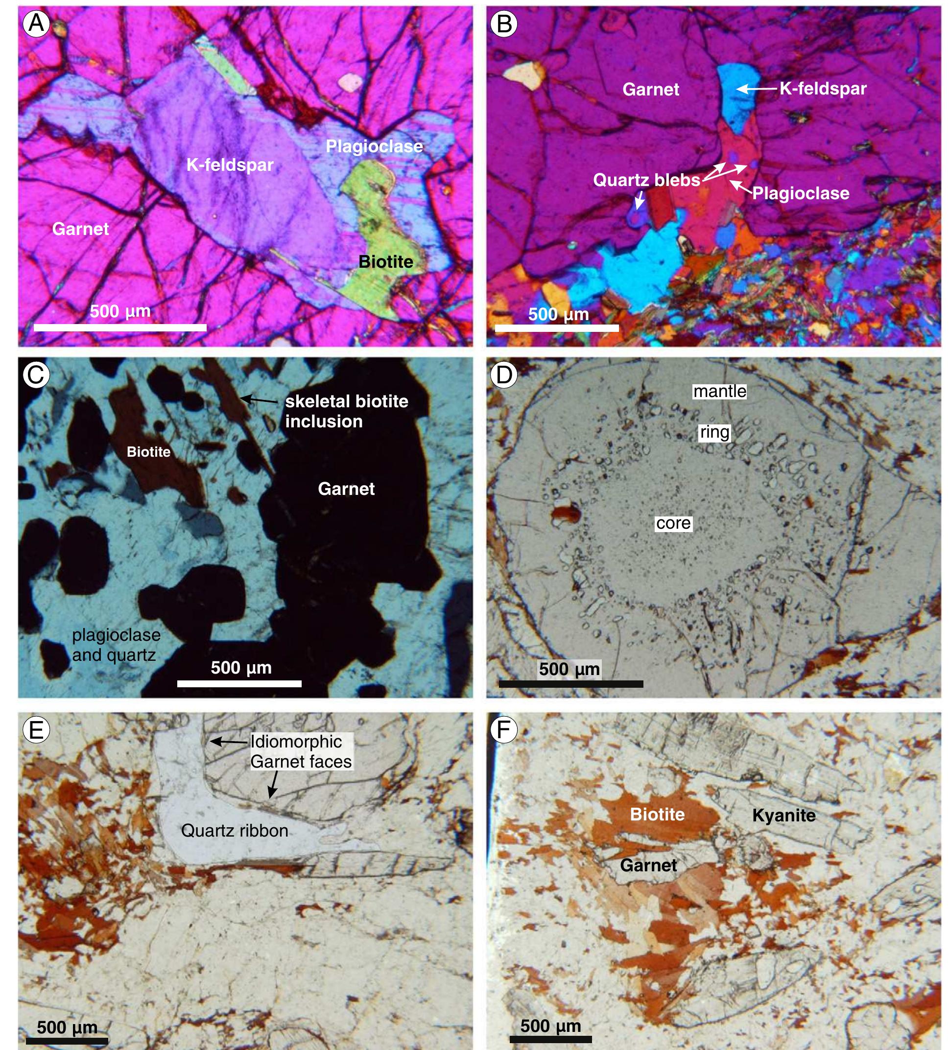 Sub Inclusions Figure 4 - from High-pressure anatectic paragneisses from
