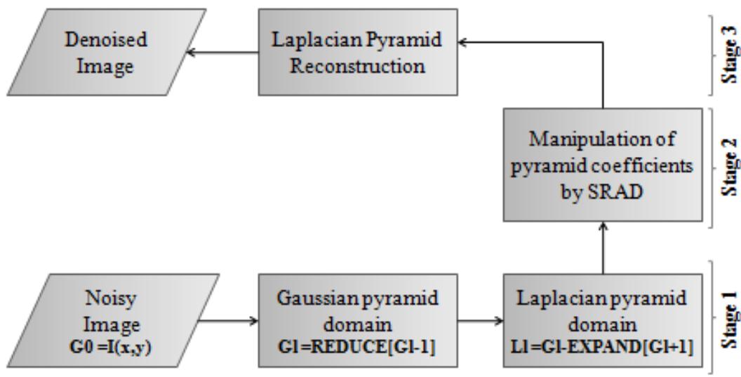 (PDF) Laplacian Pyramid based Speckle Reducing Anisotropic Diffusion ...