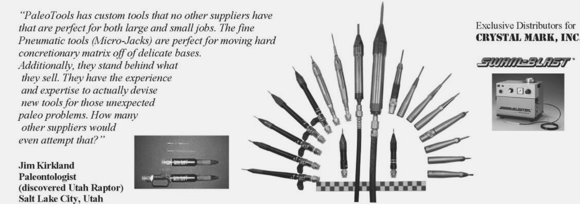 PDF) A new species of Pachyrhinosaurus (Ceratopsidae, Pachyrostra) from the  Wapiti Formation (Upper Campanian) of Alberta, Canada, image size:1951x686