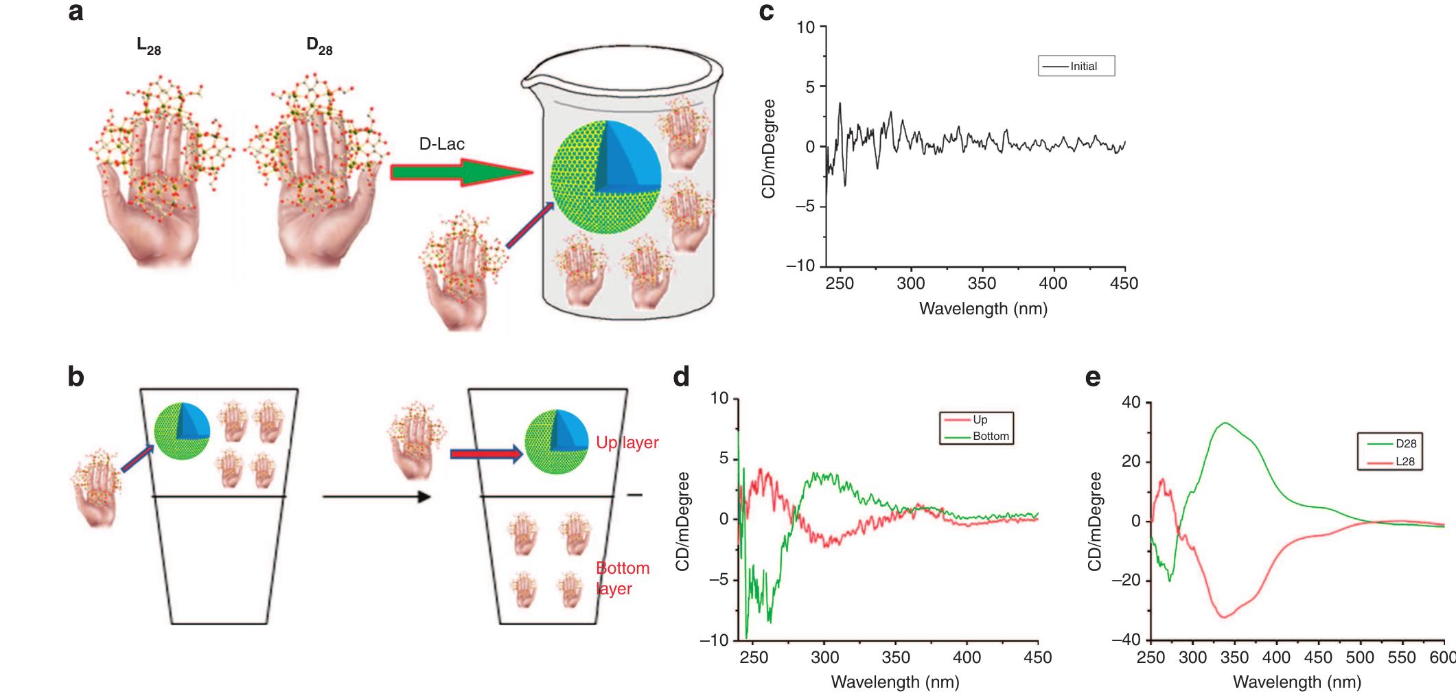 (PDF) Chiral recognition and selection during the self-assembly process ...