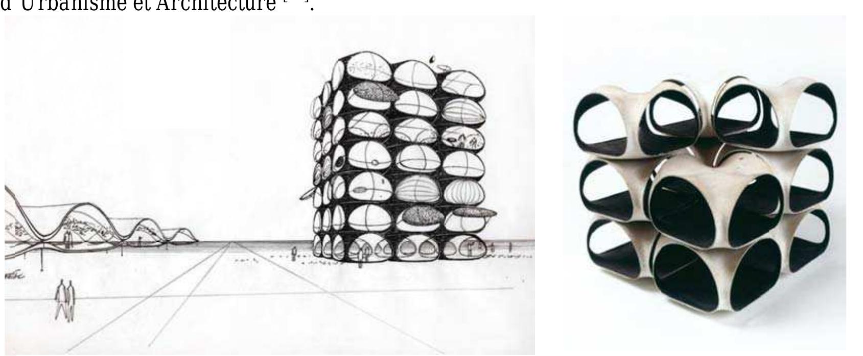 28 : drawing of versatile cells