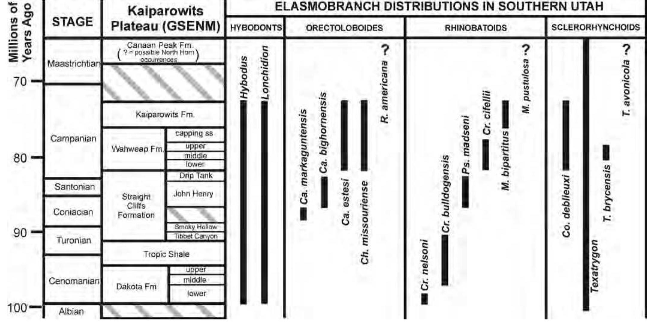Figure 22 - from Elasmobranchs from Upper Cretaceous