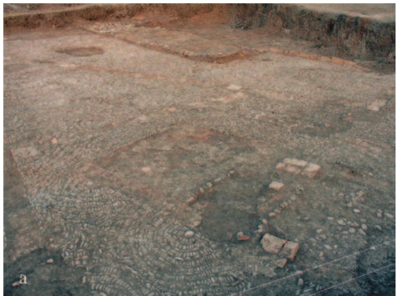 Fig. 4. View looking north-west across part of 2005 excavation. Courtesy of Iranica Antiqua (Kargar — Binandeh 2009, 122, Pl. 4a). 