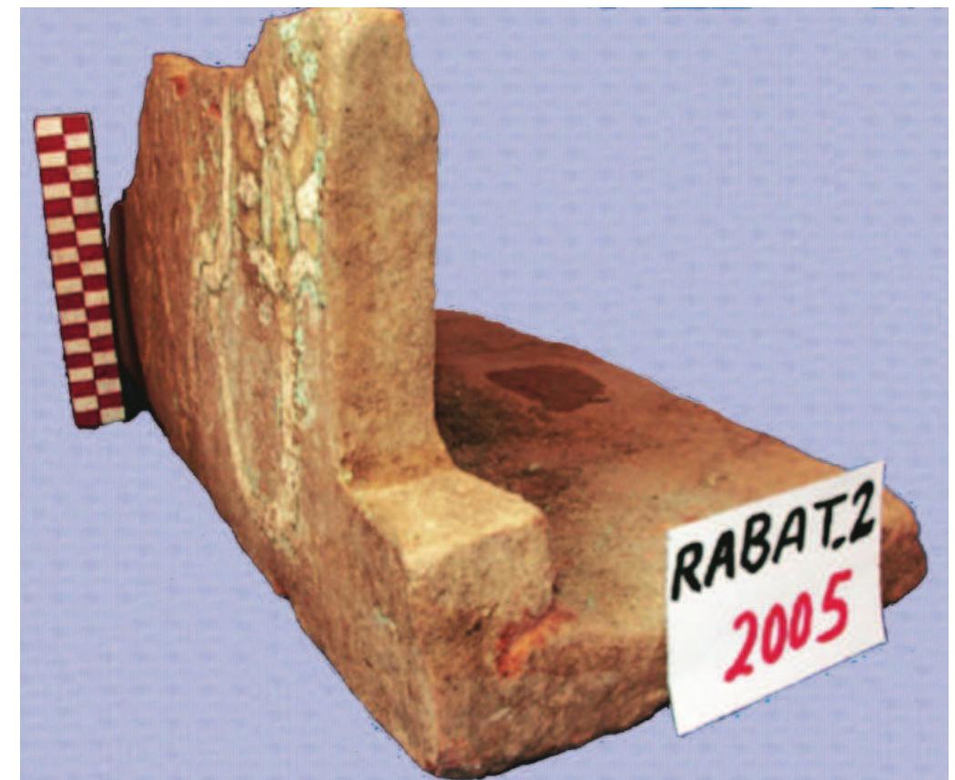 Fig. 7. Glazed crenellation, showing Sacred Tree. Courtesy of Iranica Antiqua (Kargar — Binandeh 2009, 128, Pl. 11).  Plate III 