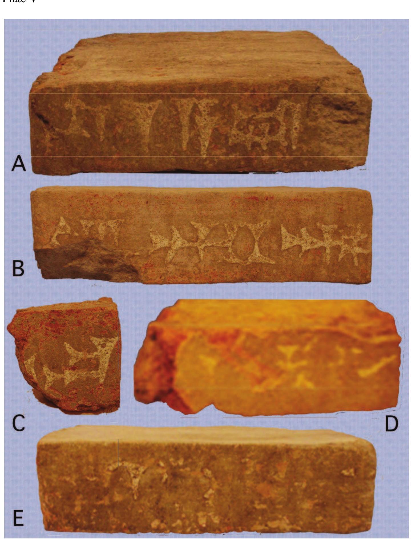 Fig. 13. Glazed bricks with cuneiform texts. Courtesy of R. Heidari (images combined: cf. Heidari 2010, Tab. LII.2, LUI.1-2, LIV). 
