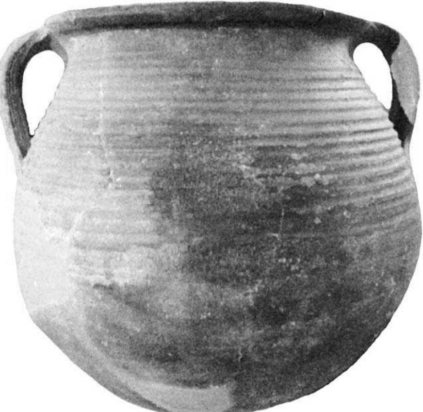 Lead Cookware Rome (PDF) Roman and Late Roman-Early Byzantine Coarse Ware from ...