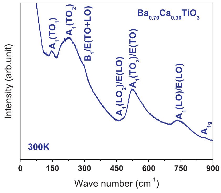 Room temperature (300 k) unpolarized raman spectra of