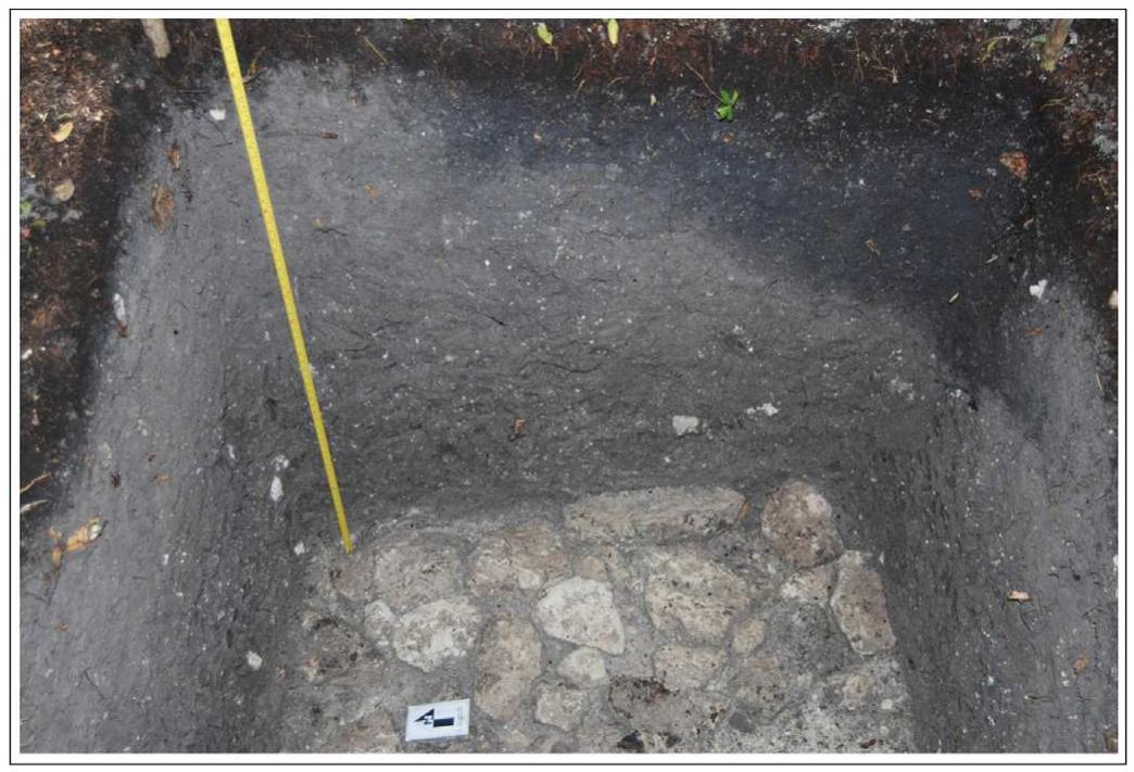Fig. 8. Photo by first author of stone lined Early Classic floor at El Zotz Aguada, Peten  (Siemens and Puleston, 1972; Jacob, 1995; Pohl et al., 1996; Siemens, 1982, 1983; Gliessman et al., 1983; Liendo-Stuardo, 1999). Researchers have reported wetland fields at many sites (Sluyter, 1994; Luzzadder-Beach and Beach, 2006, Luzzadder-Beach et al., 2012; Beach et al., 2009a, 2013), and research is ongoing in several places. Early on, scholars recognized landscape patterns that appeared to be wetland fields, like the extant chinampas at Xochi- milco, Mexico, but may be features that owe their origin to both natural and anthropogenic processes (Luzzadder-Beach and Beach, 2006: Beach et al., 2009a). 