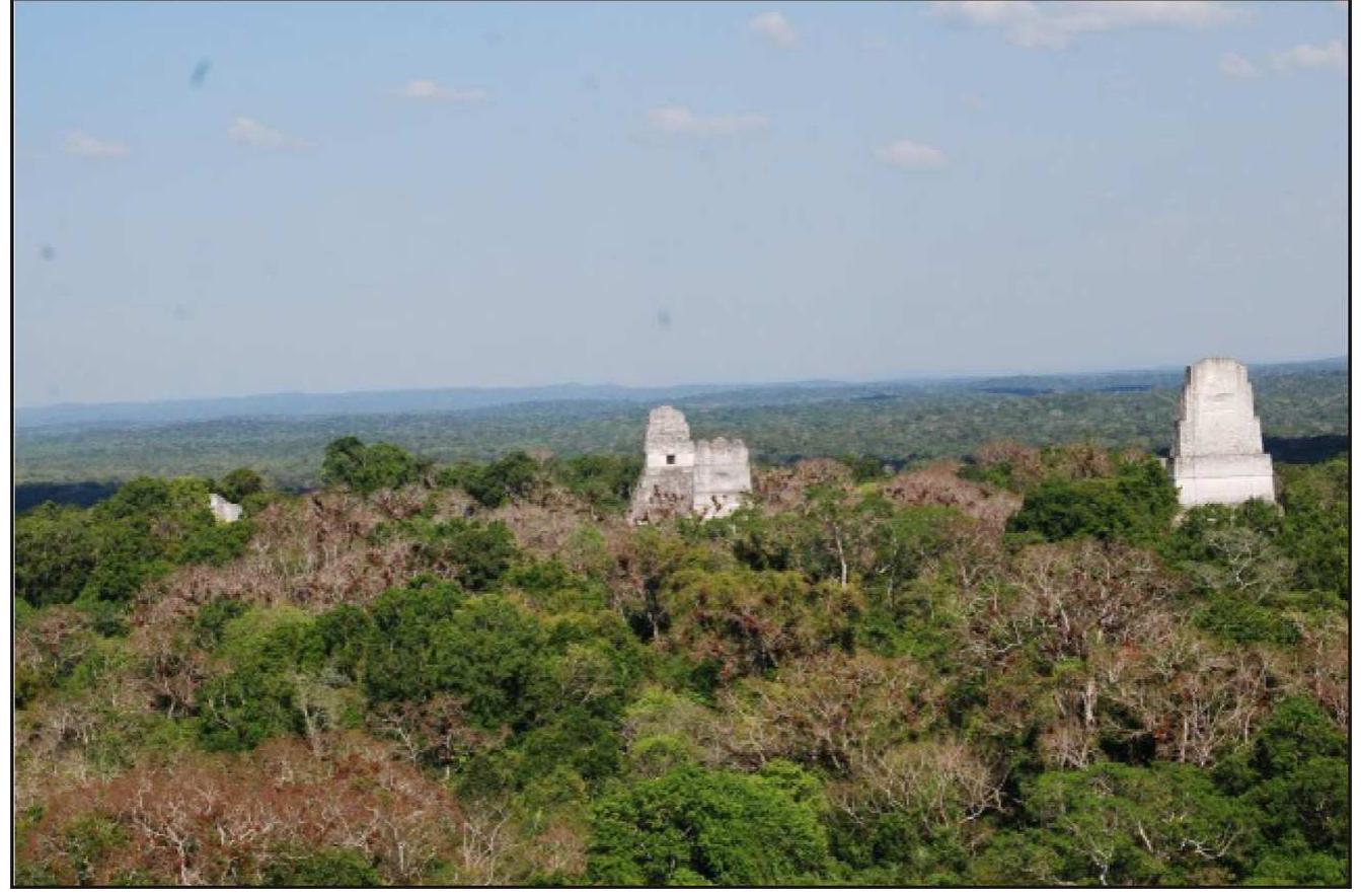 Fig. 14. Photo by first author of Tikal's pyramids rising above the forest canopy (2010). 