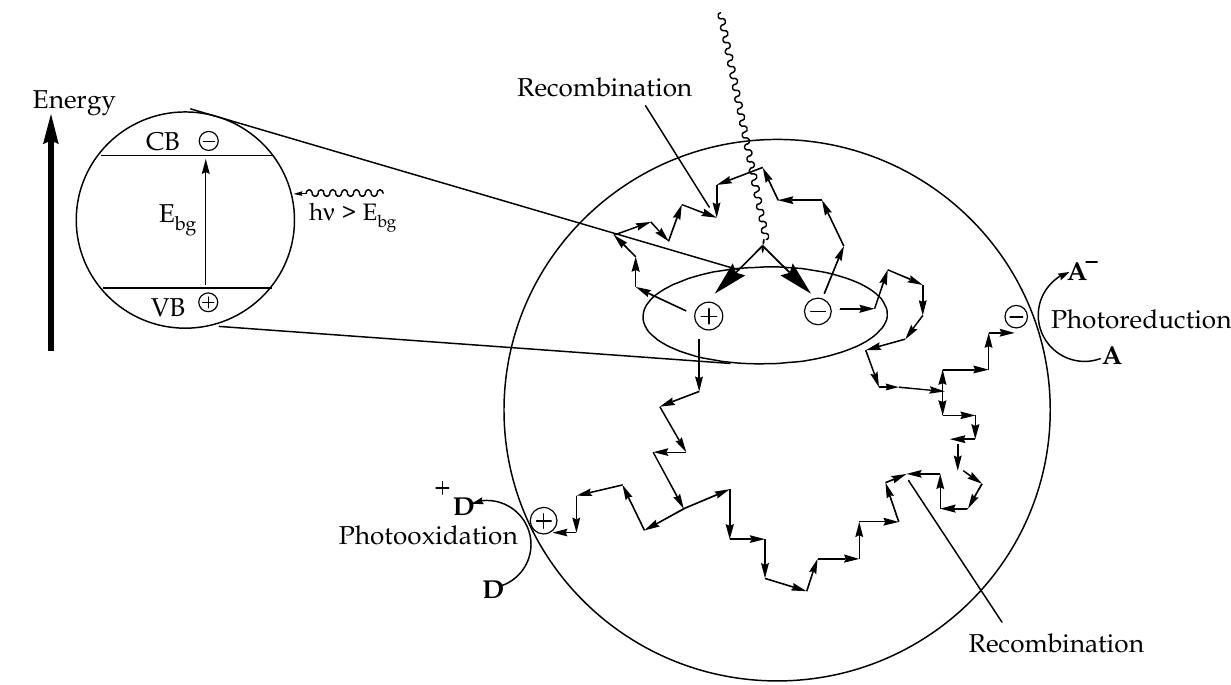 (PDF) Photocatalytic Degradation of Organic Pollutants: Mechanisms and ...