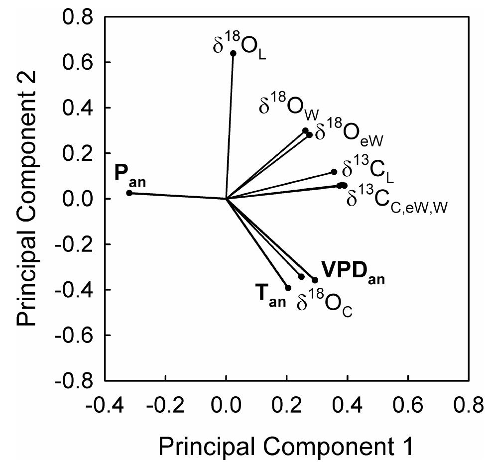 (PDF) Carbon and oxygen isotope ratios in wood constituents of Pinus ...