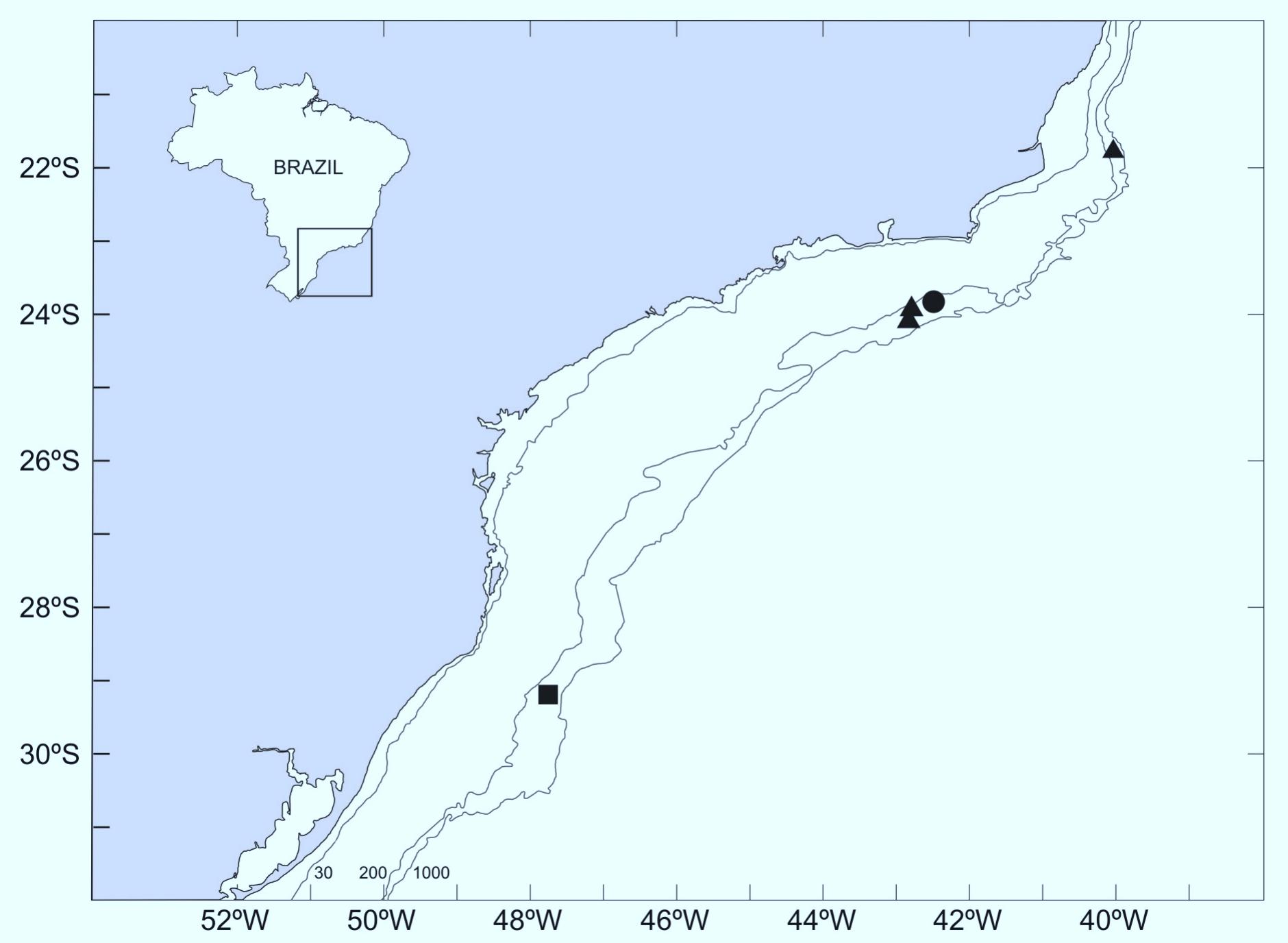 (PDF) A new genus and species of eelpout (Teleostei: Zoarcidae) from Brazil