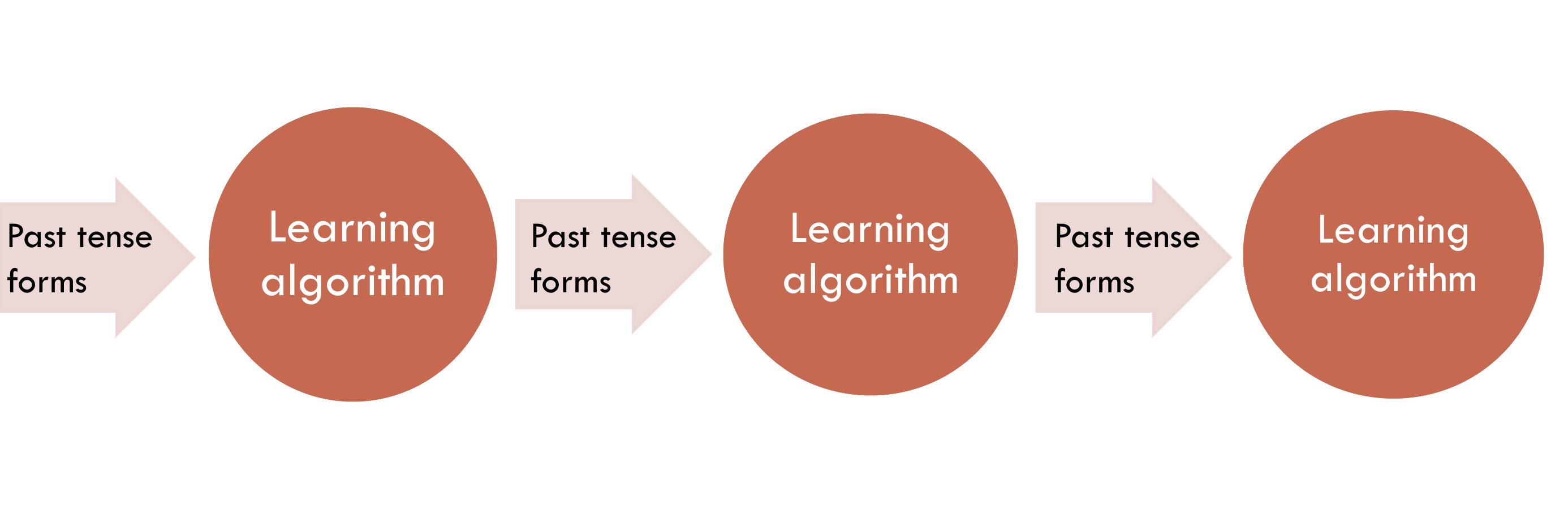 The Germanic past tense as a case study
of language acquisition
