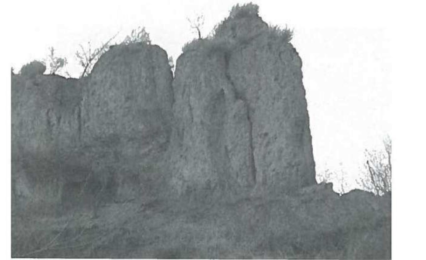 5) The SE corner of the earthen enclosure, Guanghuasi site. (Photo by the author). 