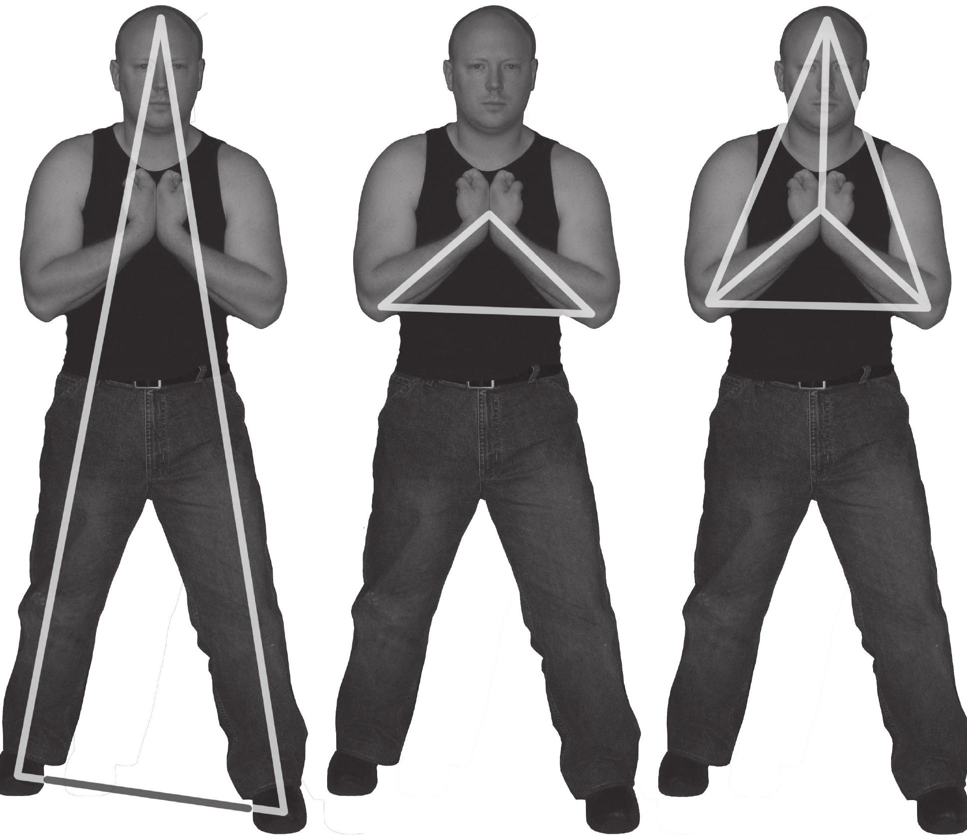 Figure 2 - from Southern Mantis the Devils details 1