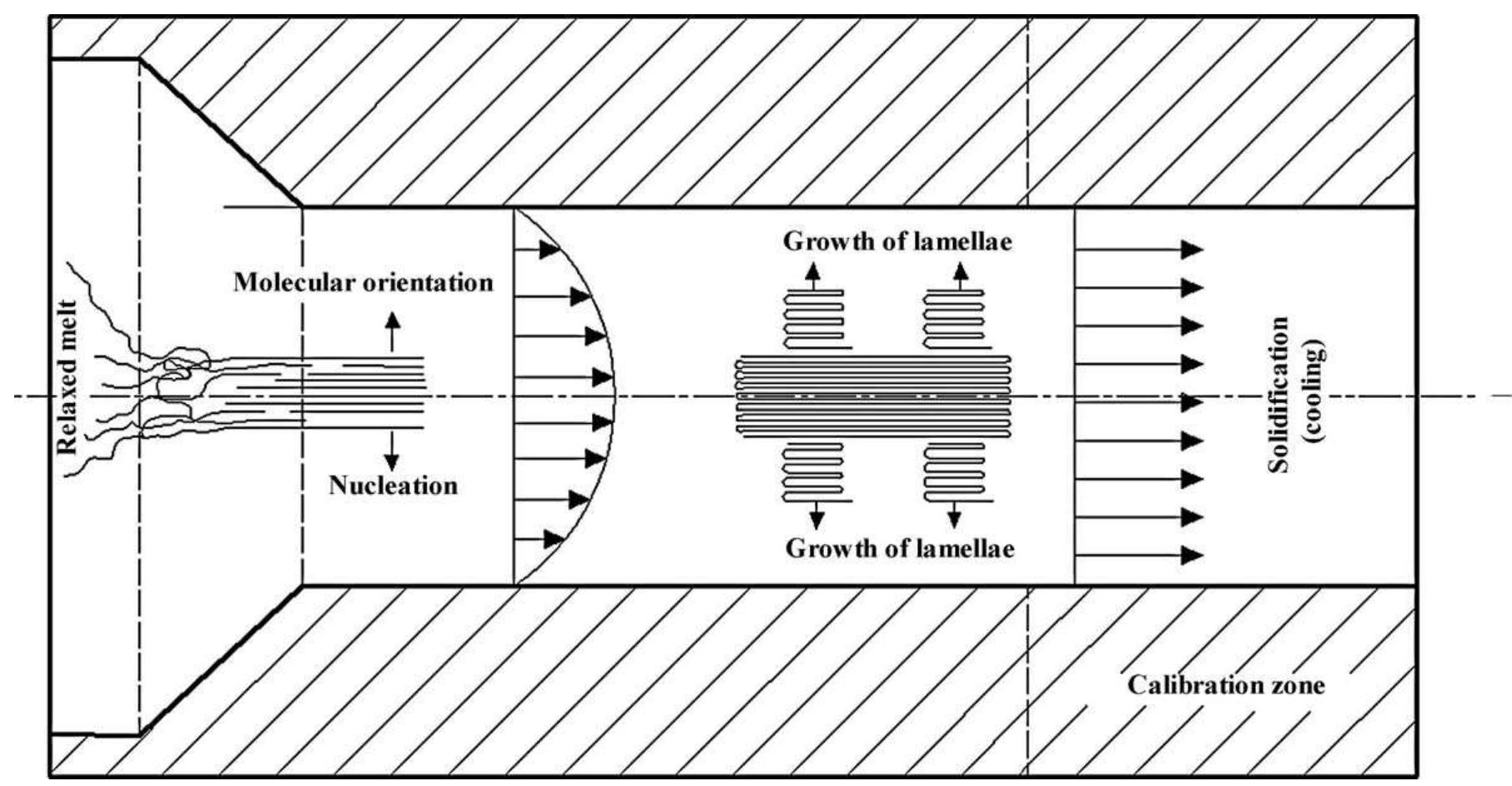Scheme of the 1d supermolecular structure formation in a die